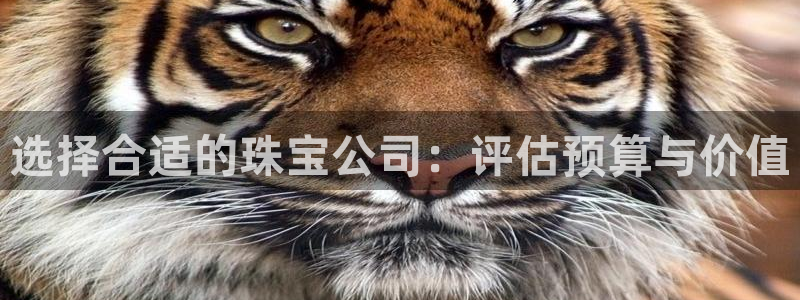 天宏娱乐指尖会