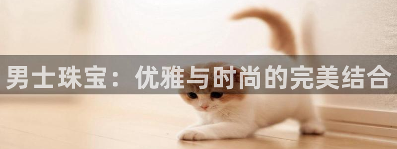天宏娱乐男神季叔