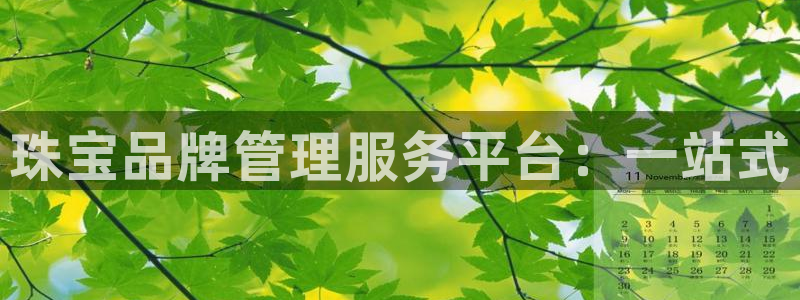 天宏娱乐老季