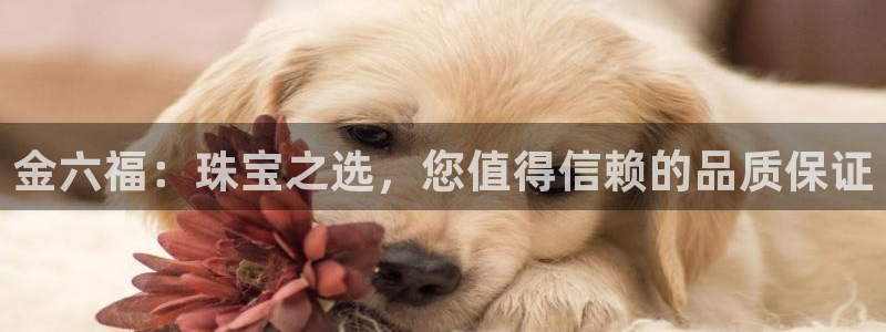 天宏娱乐直播在线观看免费