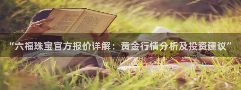 天玺娱乐彩票宏利团队