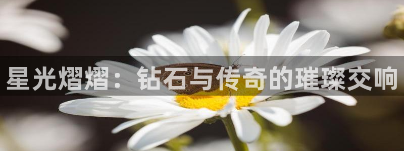 天宏2娱乐