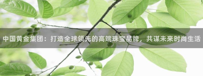 天宏娱乐直播在线观看免费