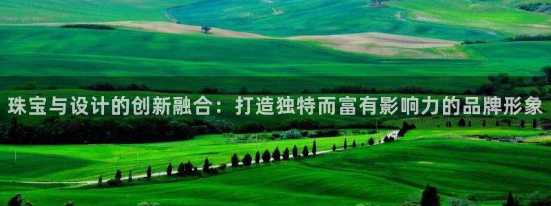 天宏娱乐董事长简介