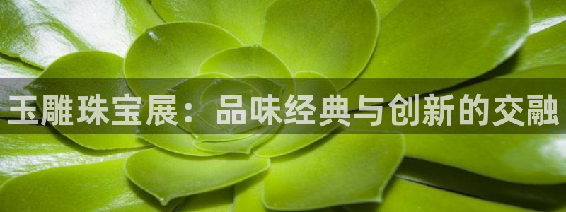 天宏娱乐l 判官