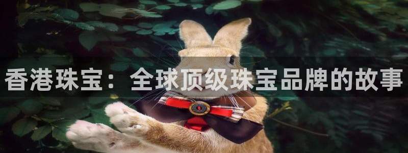 天宏娱乐待遇