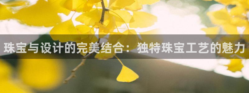 西安天宏娱乐团队