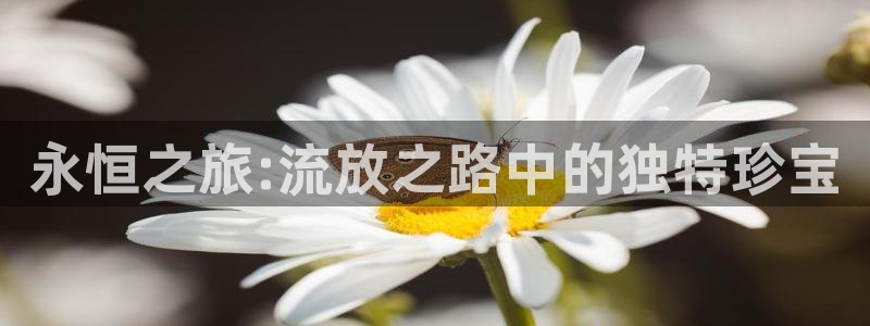 天宏娱乐b 判官