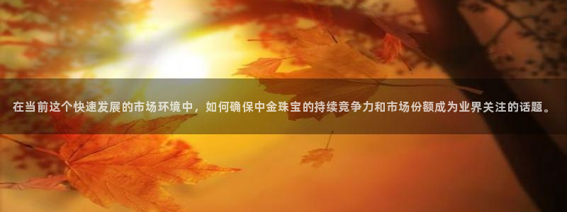 天鲸正宏娱乐是什么