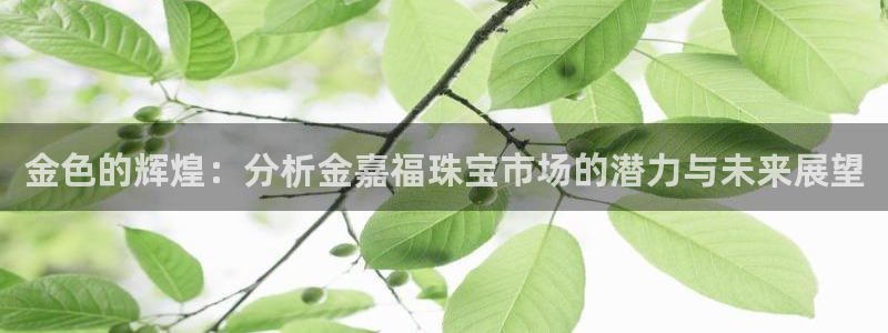 天宏娱乐指尖自