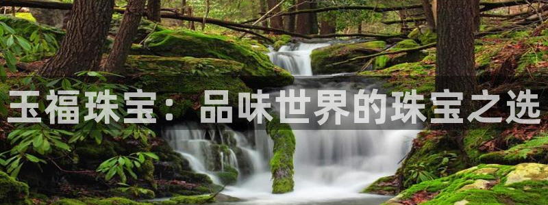天宏娱乐董事长简介