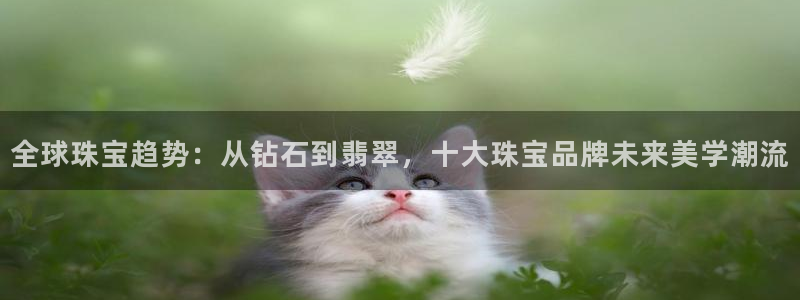 天宏2娱乐