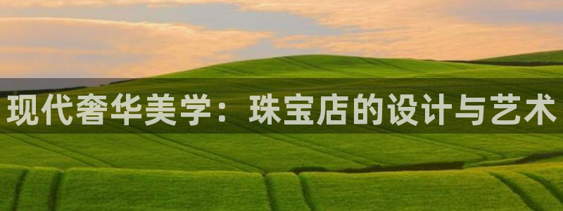 天宏娱乐团队