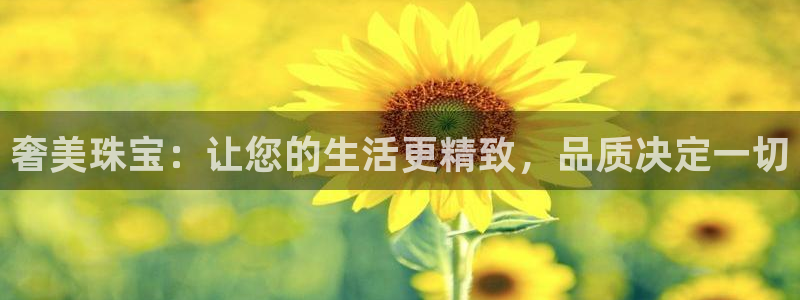 天跃娱乐天宏娱乐
