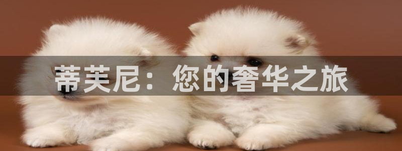 天宏娱乐 92229实c力