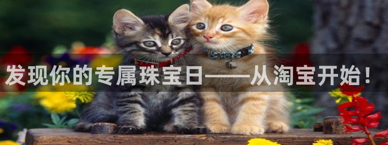 天宏娱乐下载