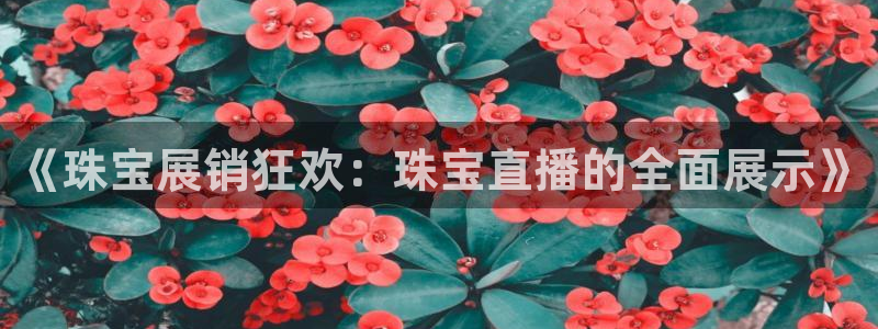 天宏集团黑骑士娱乐