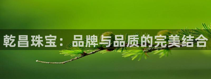 天宏娱乐有明星吗