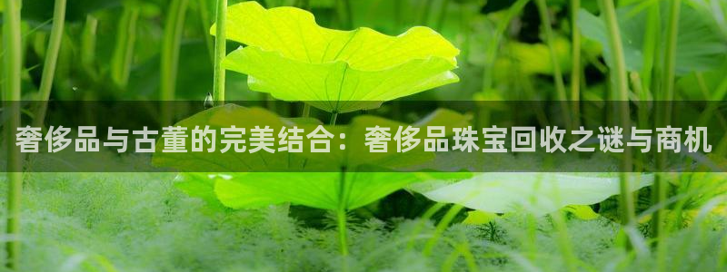 广州宏创天美娱乐文化