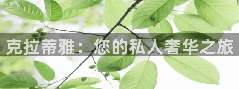 天宏娱乐传媒岳阳