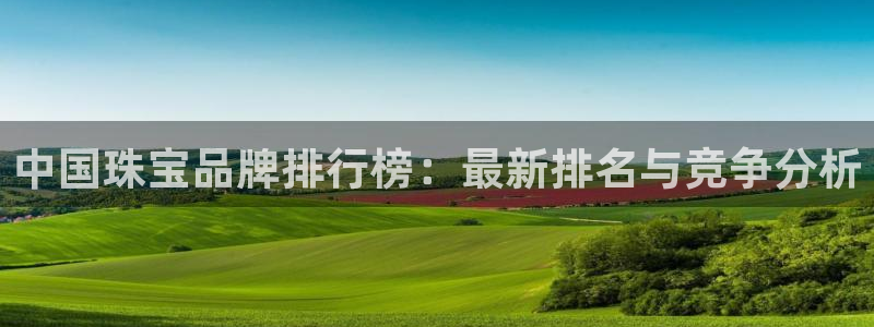 金叔直播天宏娱乐直播