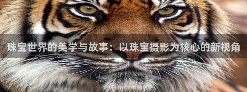 天宏娱乐内部32937