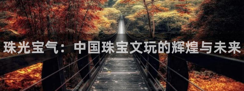 天宏娱乐会所电话：珠光宝气：中国珠宝文玩的辉煌与未来