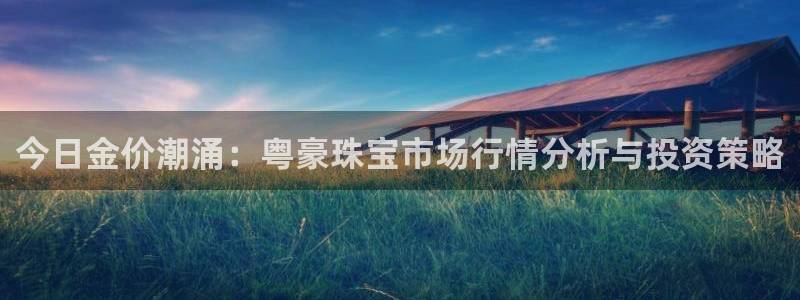 天宏娱乐金叔