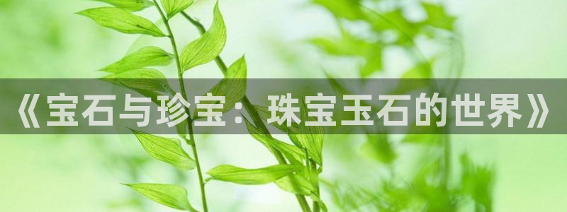 天宏娱乐董叔：《宝石与珍宝：珠宝玉石的世界》