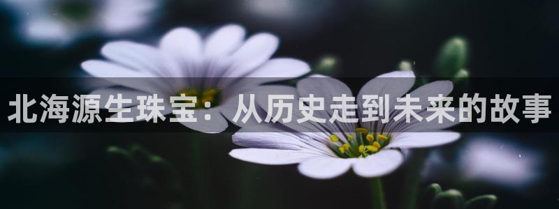 天宏娱乐地址查询