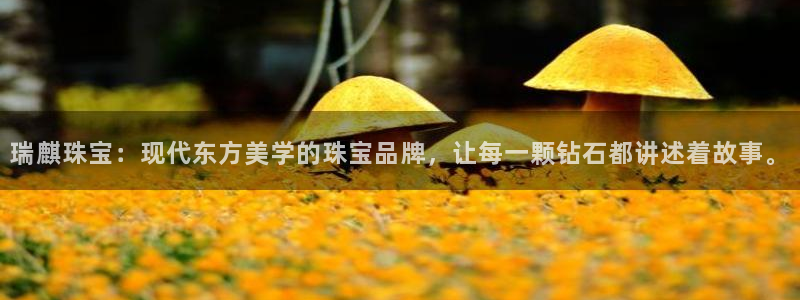 天宏娱乐总店电话多少