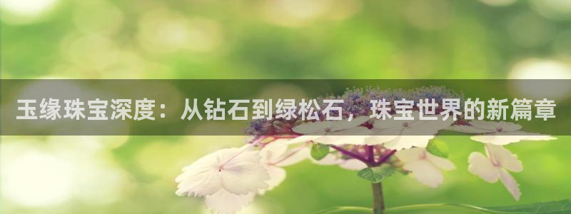 天宏娱乐是干嘛的
