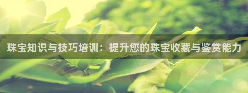 天宏娱乐北北
