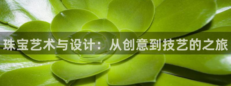 天宏娱乐有限公司