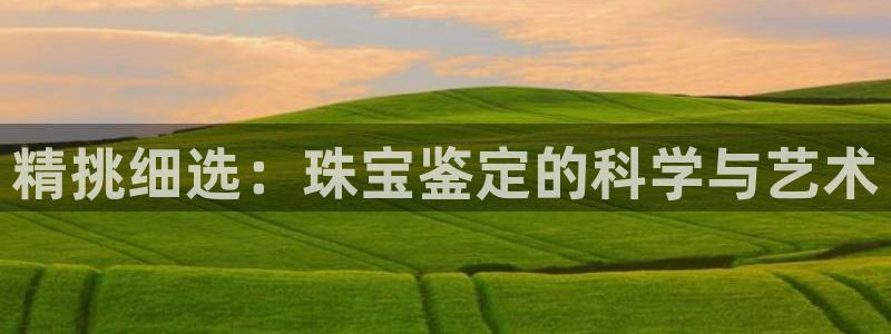 天宏娱乐指定千捷网络