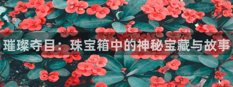 郑州天宏娱乐