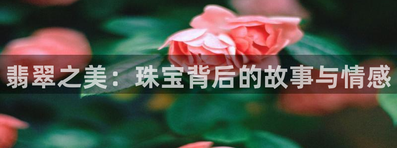 天宏娱乐6号