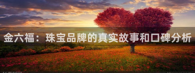 天宏娱乐大叔团队介绍：金六福：珠宝品牌的真实故事和口碑分析