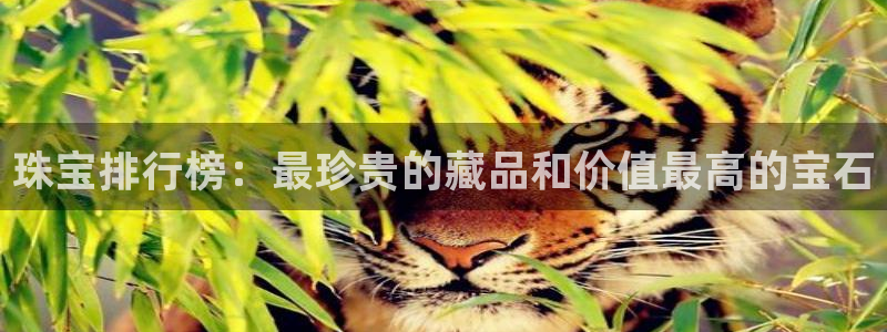 天宏娱乐董事长
