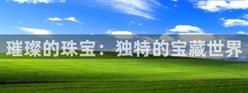 天宏娱乐会所地址查询：璀璨的珠宝：独特的宝藏世界