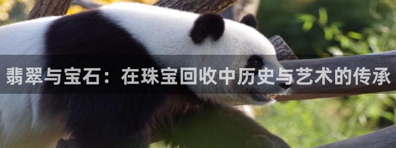 天宏娱乐3