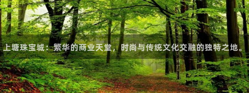天宏娱乐董事长