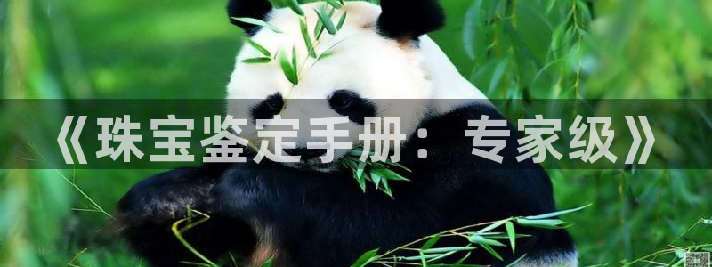 天宏娱乐a 判官：《珠宝鉴定手册：专家级》